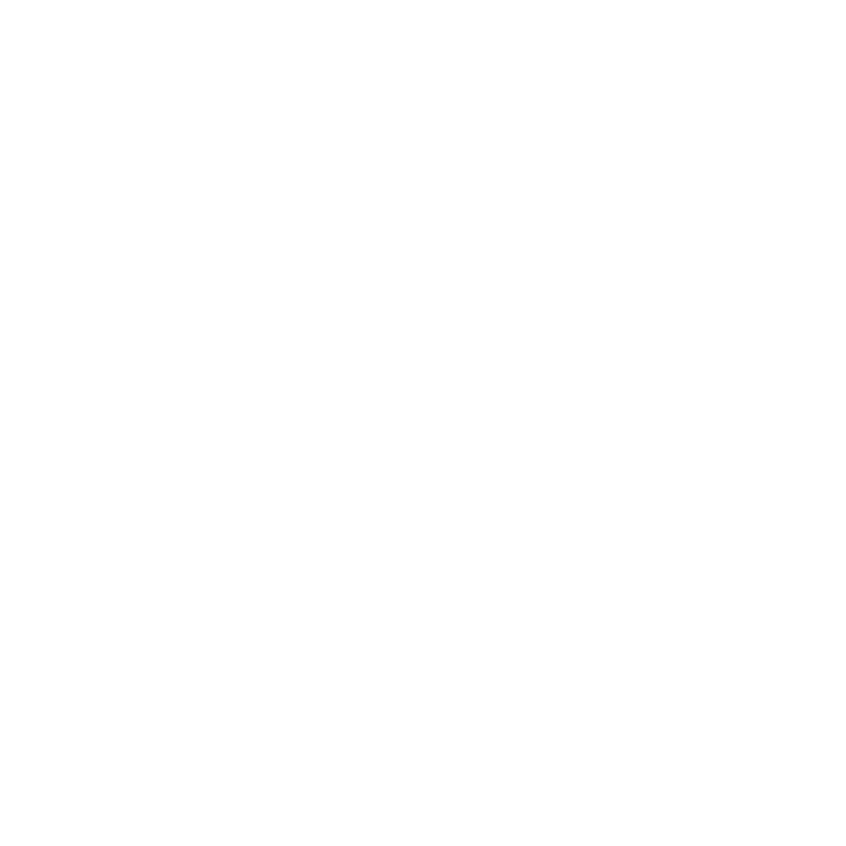 A arte de se auto liderar